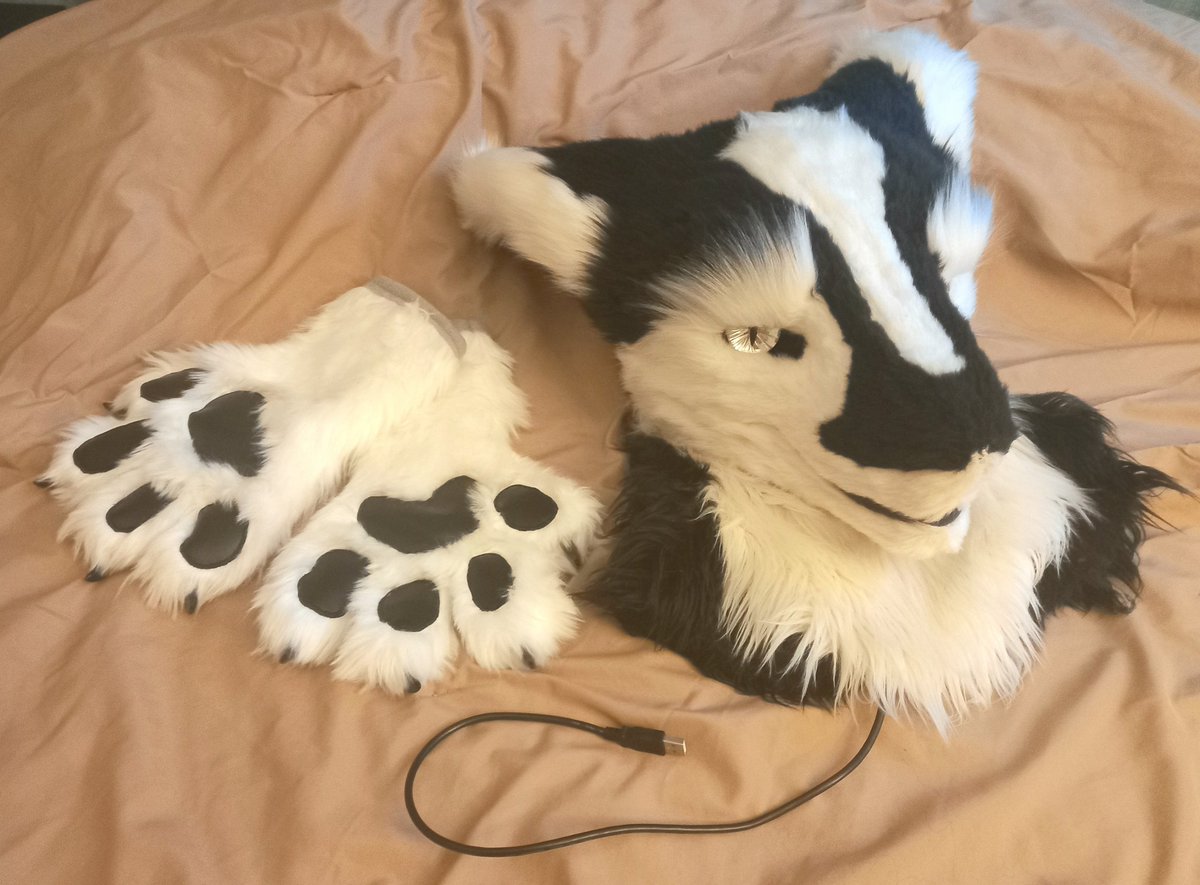 BirchDeerWolf's tweet photo. Do you want a fursuit for MFF? Im selling my LED sergal fullsuit 💡🧀. Free delivery to MFF! 😁

The auction starts at $1600 and ends on Sunday at midnight! More info in the link below. 

https://t.co/QkkMOAYUwg https://t.co/g535mUVWZJ
