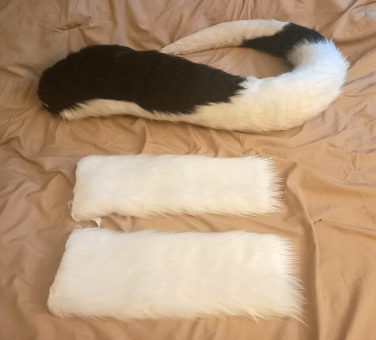 BirchDeerWolf's tweet photo. Do you want a fursuit for MFF? Im selling my LED sergal fullsuit 💡🧀. Free delivery to MFF! 😁

The auction starts at $1600 and ends on Sunday at midnight! More info in the link below. 

https://t.co/QkkMOAYUwg https://t.co/g535mUVWZJ