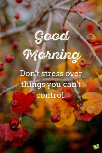 GailYou93741783's tweet photo. Good morning y’all ☕️🧡 https://t.co/uy8gLcenvJ