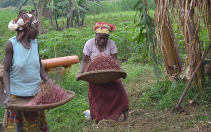 Women and climate change