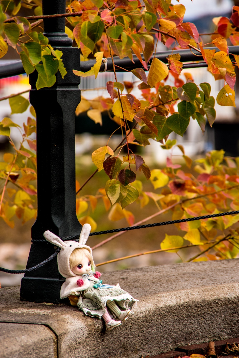 Lalka_m's tweet photo. 秋を感じるニコピノちゃん #kreamdoll https://t.co/AQaFZmF8FT