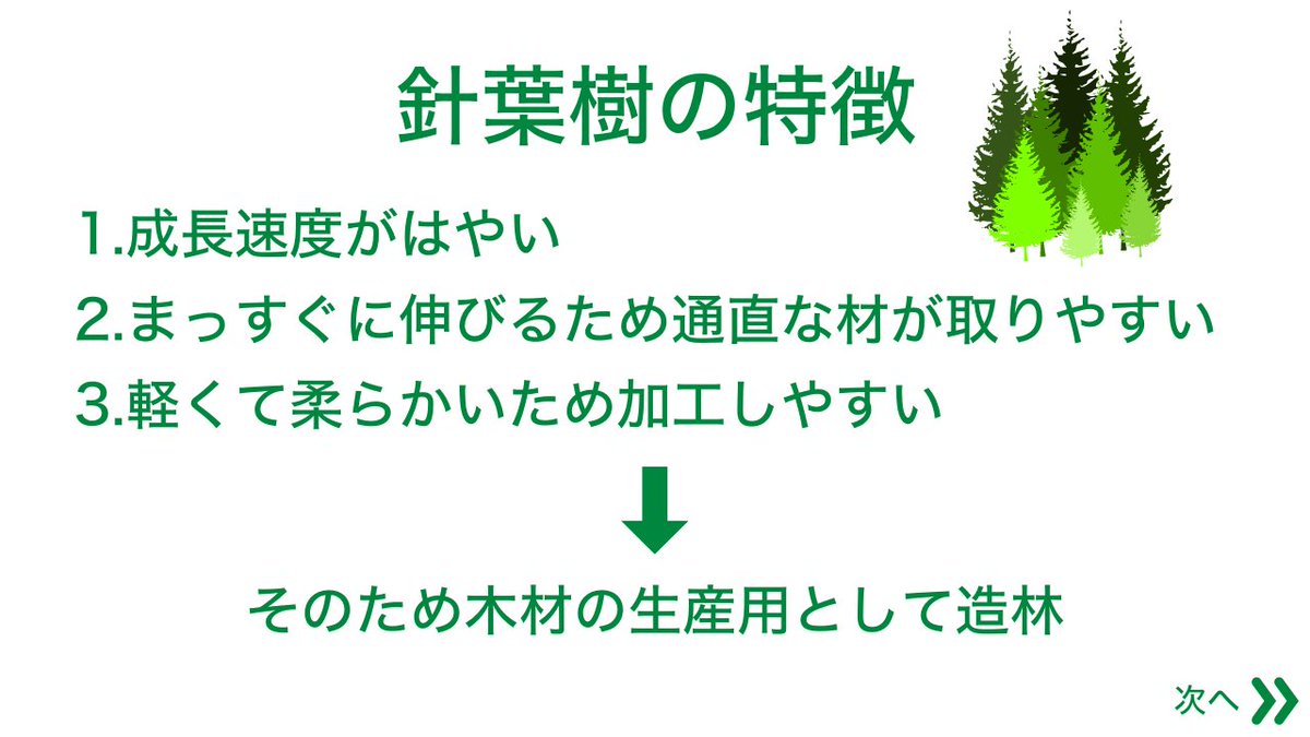 moricrew's tweet photo. 【針葉樹を探ろう！】

日本全国では
針葉樹と広葉樹はおおよそ半分半分の量です🌳

今回は針葉樹についてまとめてみました！

〜これだけは覚えておこう❗️〜
杉・松・樅・檜 https://t.co/ch5qPCBpx7