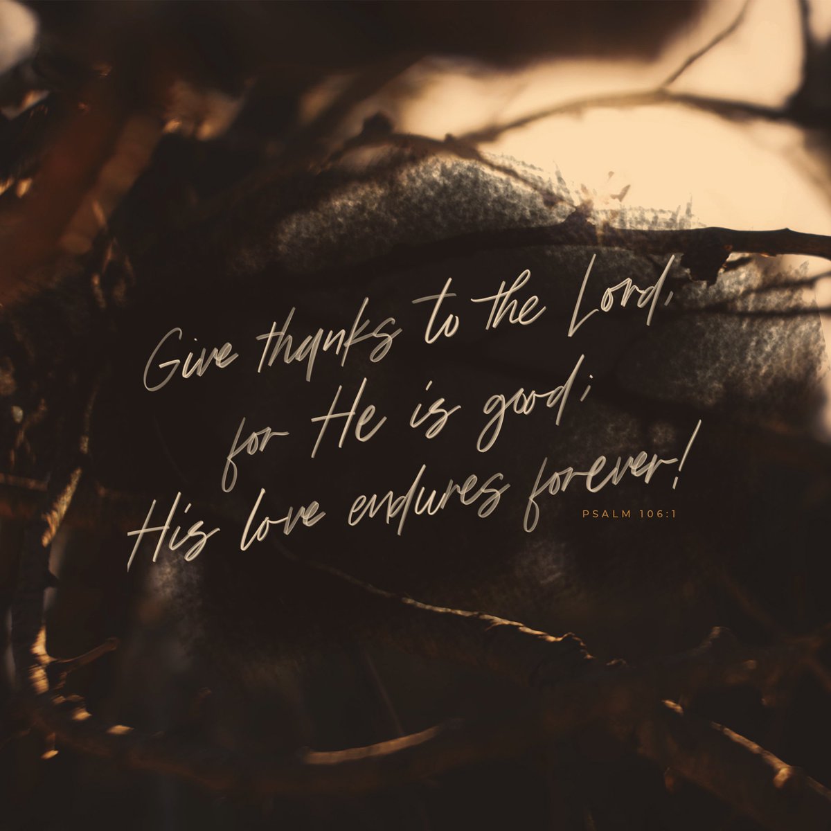 TruthNationOrl's tweet photo. Verse the Day 🔥
Give thanks to the Lord for he is good.
His love endures forever!
#truthnation #votd https://t.co/2N7XAD0zFL