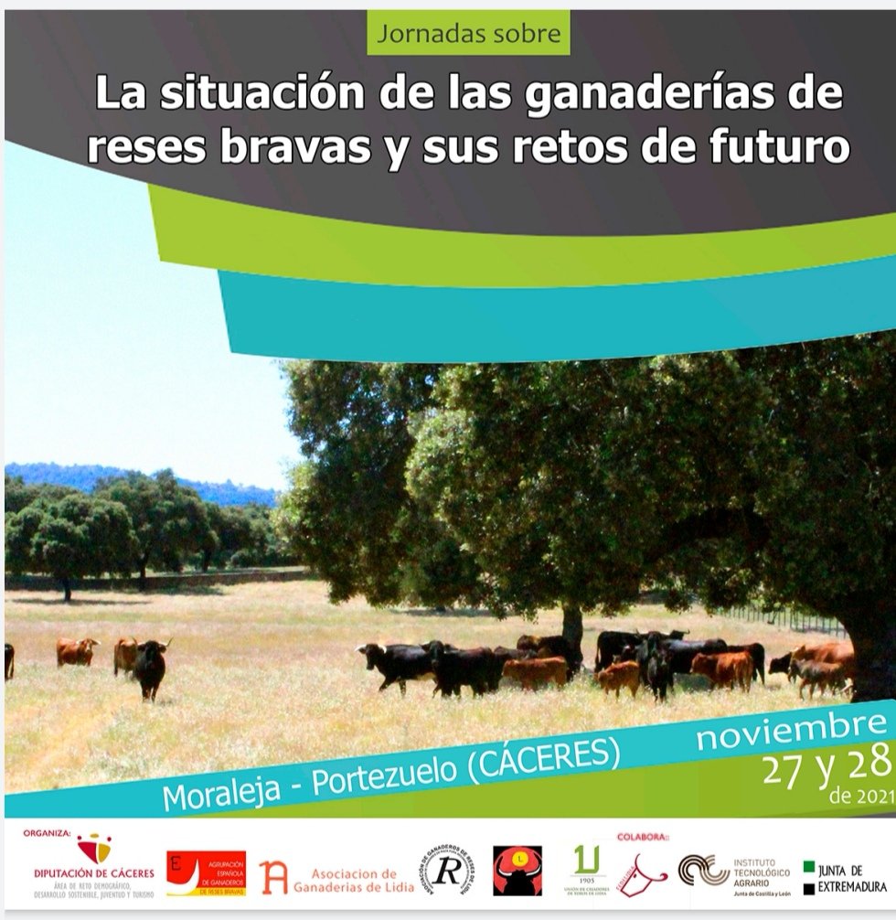 Os compartimos el cartel de las Jornadas Taurinas de @diputacion_caceres que tendrán luegar este fin de semana. 

Se van a tratar temas de gran relevancia para el sector, 
¡Inscribiros en el siguiente enlace! 
jornadascaceresganaderiabrava.es