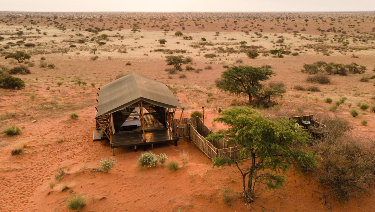 Tswalu's tweet photo. Would you spend a night under the stars in the middle of the Kalahari? The Malori is Tswalu’s under canvas experience. Whether reserved for romance or for family bonding time, it’s hard to beat.
https://t.co/VoEzCM1nwg
#luxurysafari #Starbed #stargazing #astrophotography https://t.co/ybcrF2TbVs