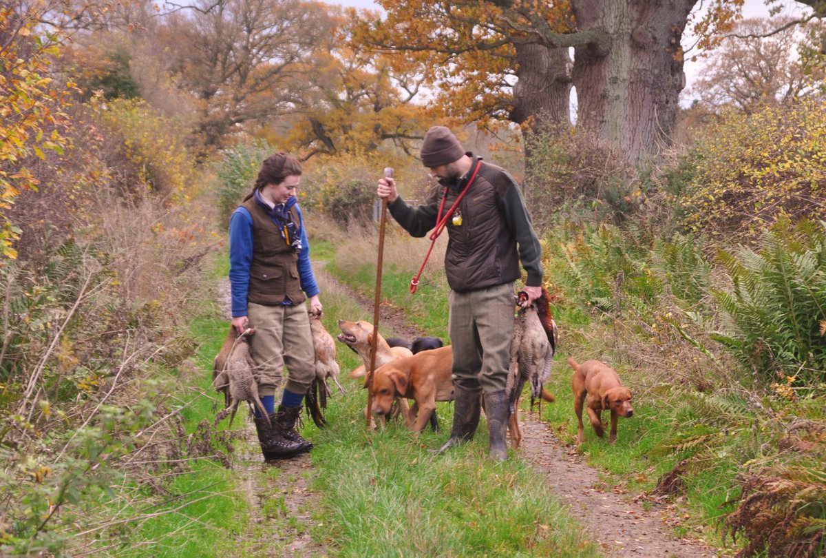 Robert Griffin tweet media