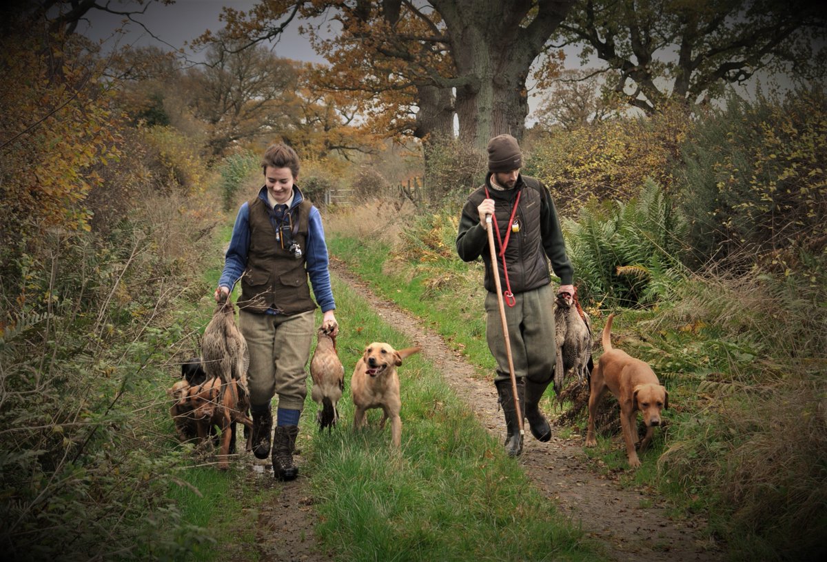 Robert Griffin tweet media