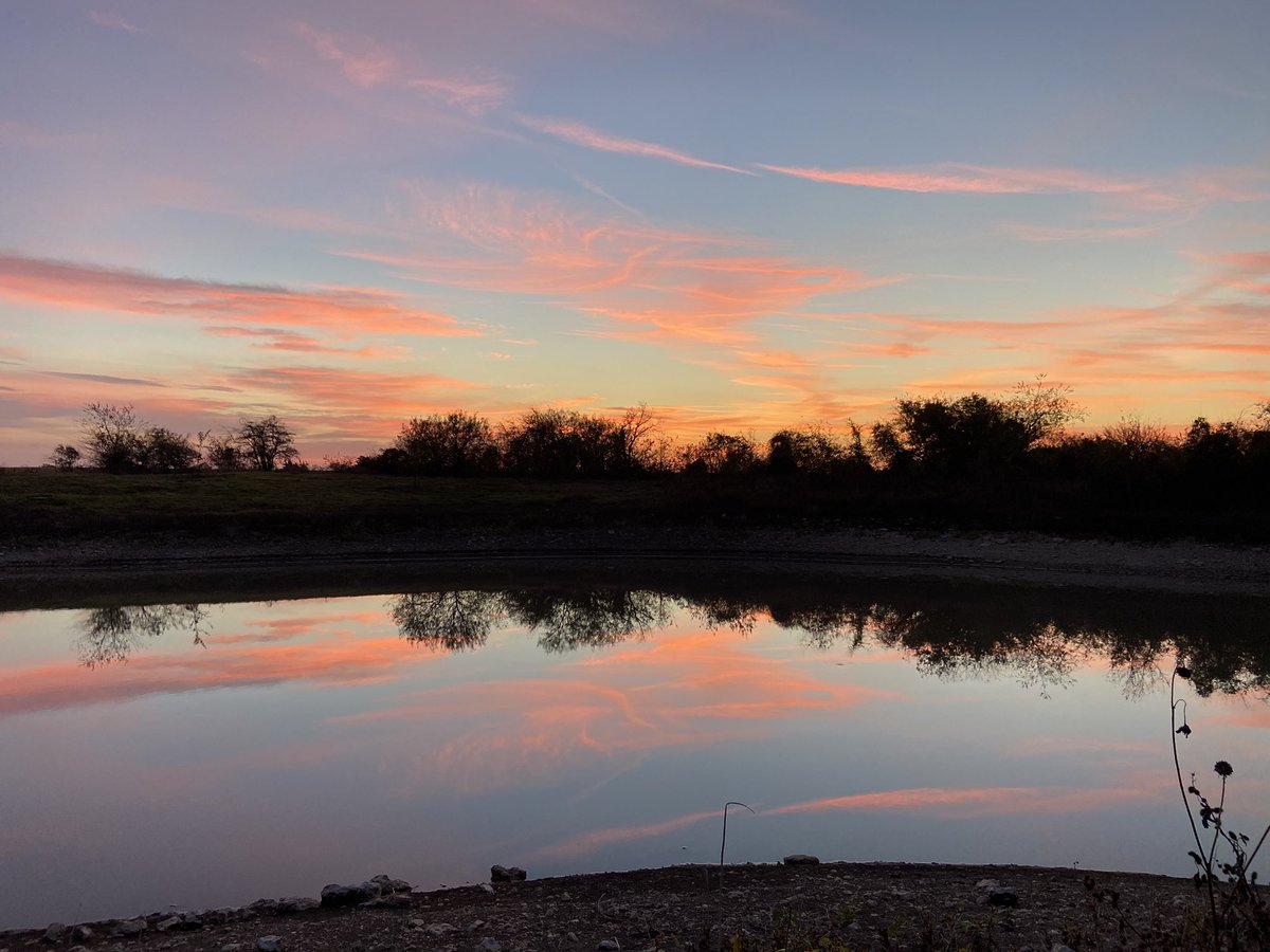 UTCoachRod's tweet photo. No edit needed. An amazing start to the day!  #Sicem #8 @BUFootball https://t.co/CAybKSKj44