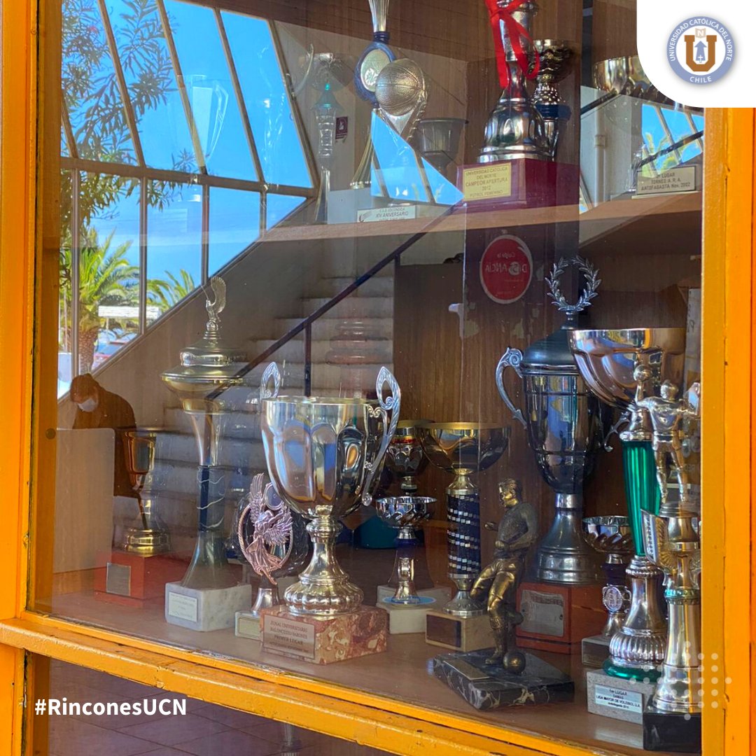 AdmisionUCN's tweet photo. #RinconesUCN: El lugar principal del Deporte y de las ExpoUCN. ¿Lo visitaste alguna vez?

Sí, precisamente en la entrada sur de nuestro campus de #Antofagasta se encuentra el Gimnasio Luis Bisquertt Susarte el cual fue remodelado en 2015.

#UCN #Coquimbo @UCNorte https://t.co/2dme3vZS2a