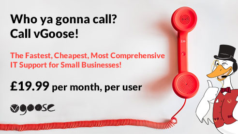 Isn’t it the most frustrating thing in the world when you have a tech issue and you can’t physically talk to someone in order to fix it quickly? 

If you want tech issues resolved quickly, welcome to vGoose. We are the IT support company tailored to small businesses!