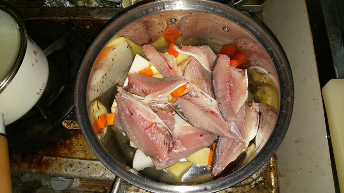 今日の魚類の殺戮方法は、友人から酒粕もらったから酒粕汁責めじゃ～ 