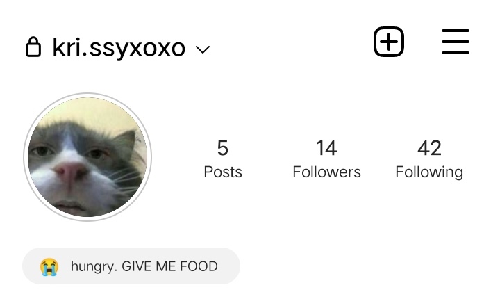 agstd20's tweet photo. EVERYONE, THIS IS MY NEW IG ACCOUNT 🍃 Coz my old account got hacked 👁👄👁 https://t.co/QaNlZ1E7qp