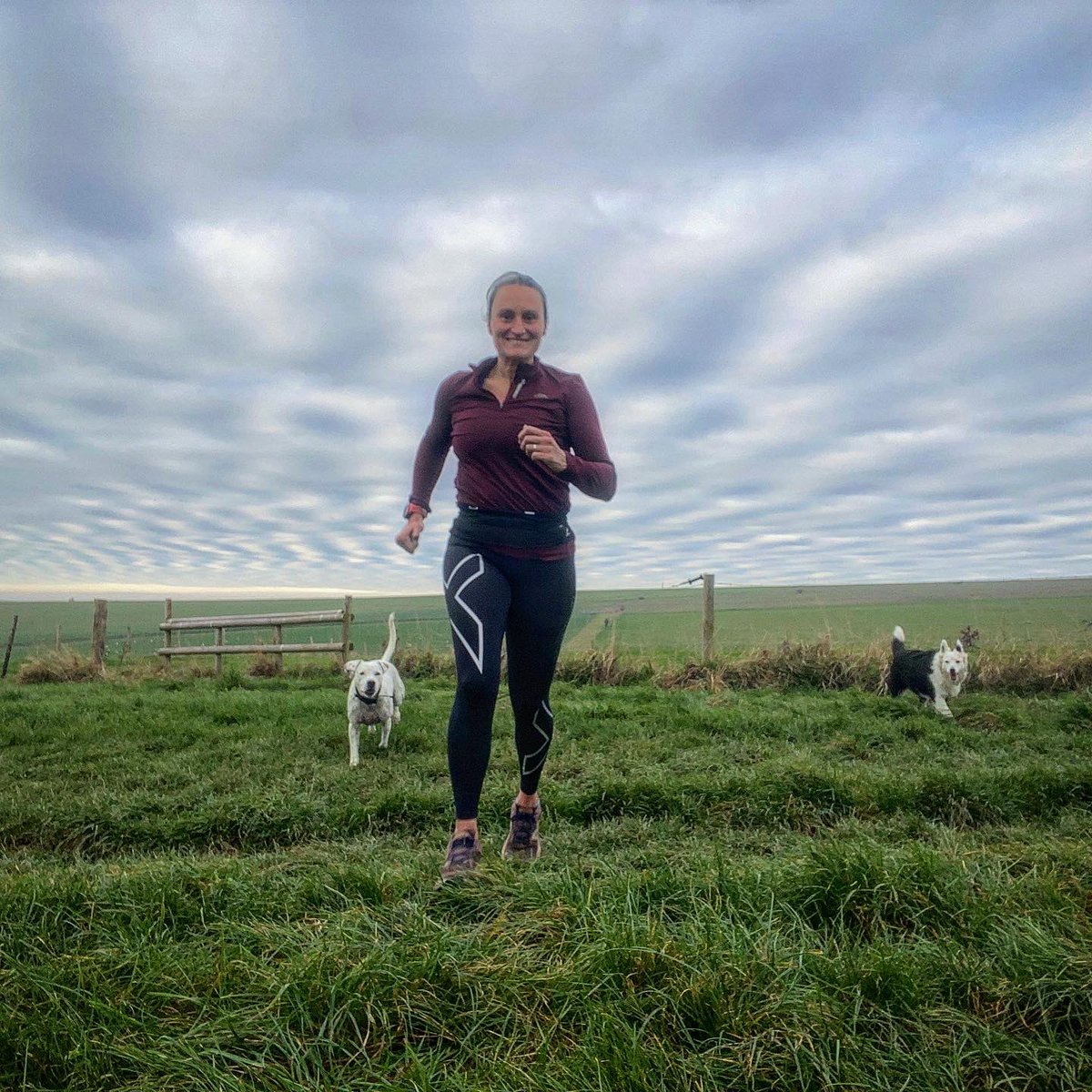 RunoverRainbow's tweet photo. Gentle #run with the doggos to get the legs moving again. Bit of a stiff ankle and no speed in my legs but other than that feeling good post JOGLEND.
#dogsoftwitter #ukrunchat #runbritain https://t.co/nyjJ8qqgAF