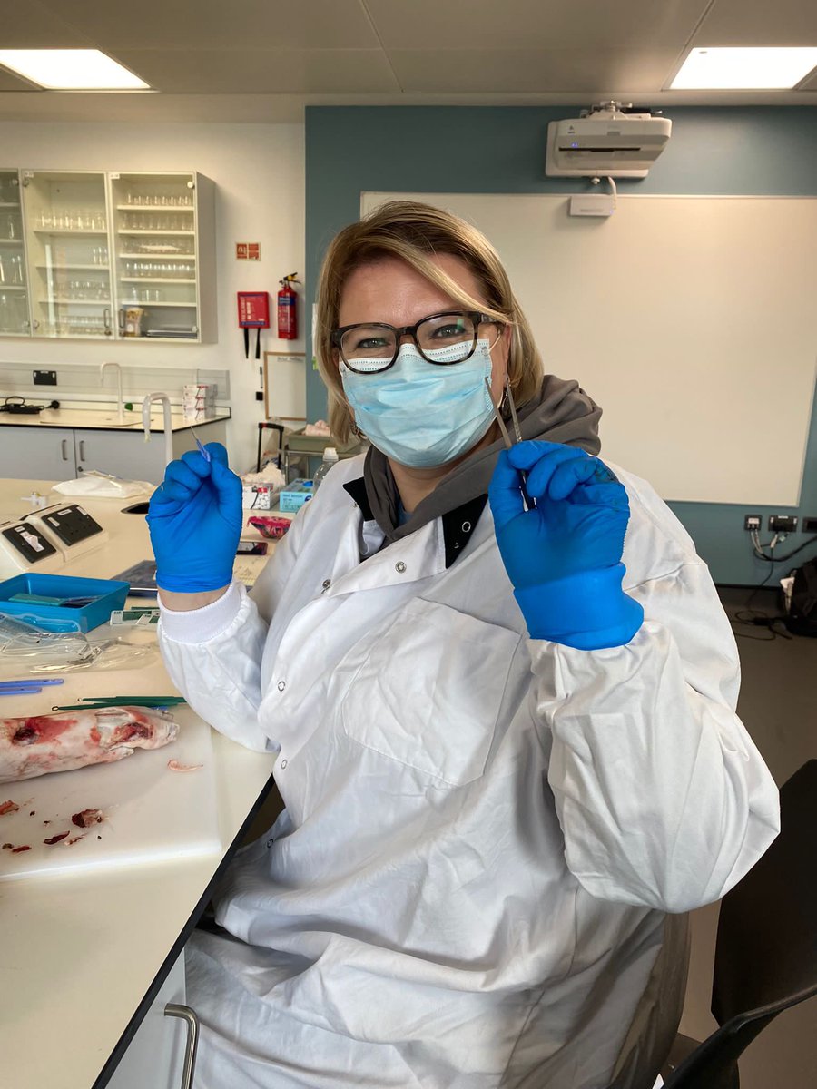 neringa_mcphail's tweet photo. Our job just became a whole lot more exciting! Getting down to business at Sharp Debridement course with @LorrMag78 at Birmingham City University. 
@MyBCU #sharpdebridement #tissueviability #woundcare #WoundsUK https://t.co/cuWGH828Vb