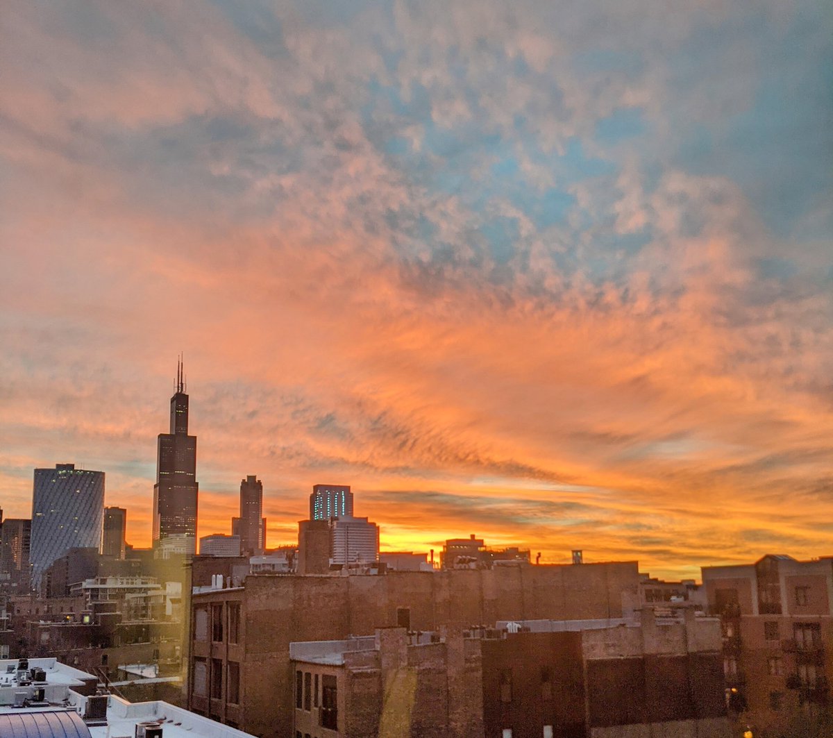 Jill Schmitz tweet media