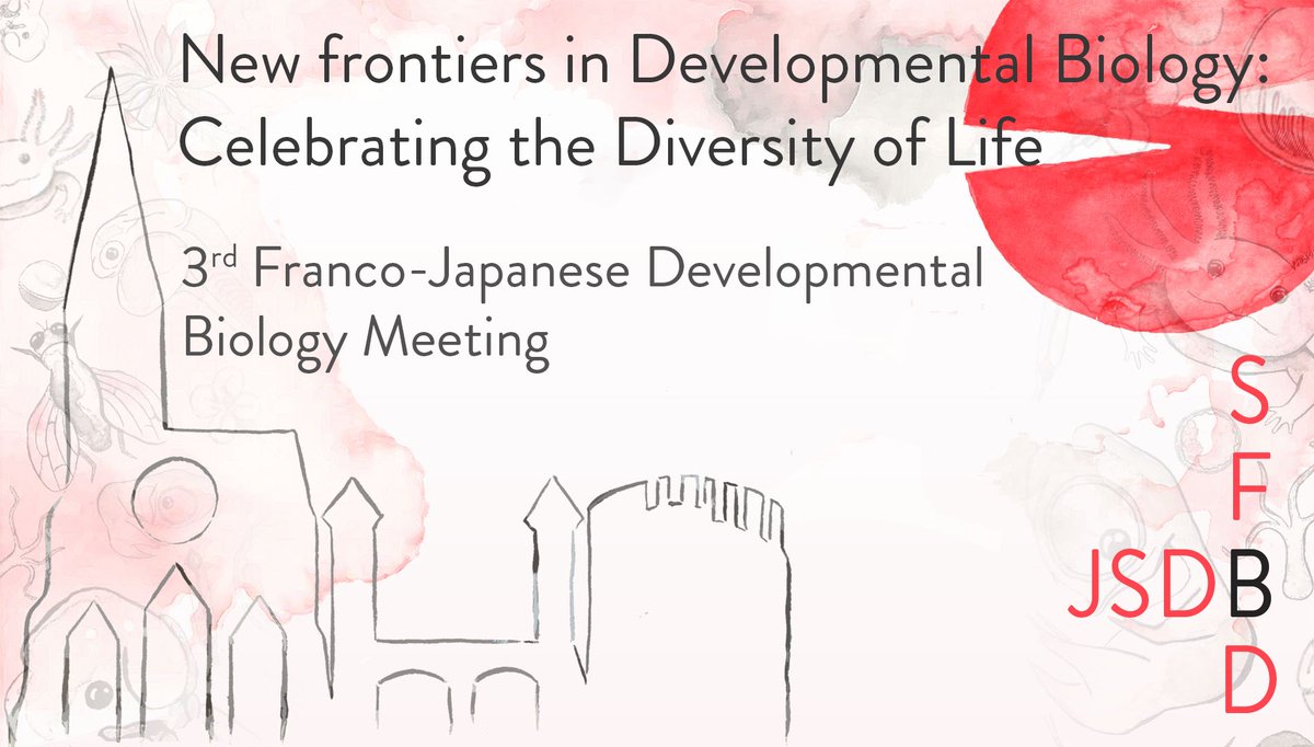 sfbd_biodev's tweet photo. It is time to discover the topics covered in our main event of the year. Just follow this link:
https://t.co/PSm7HWIgco https://t.co/bRmJ2KGGaZ