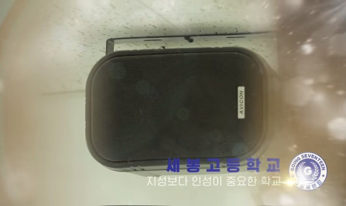 호빵 tweet media