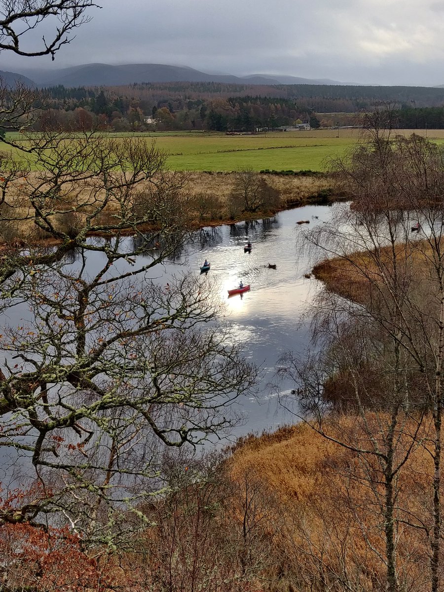 This morning's wildlife watching on the Spey: a goosander, two mallards and five winter watercraft. #nature #birdsandboats <a href="/VisitCairngrms/">VisitCairngorms.com</a> @scottishcanoe