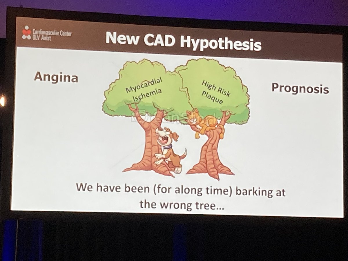 twj1974's tweet photo. Great future directions talk from @ColletCarlos let’s stop barking up the wrong tree - we must overcome burden of disease &amp; perhaps avoid stenting in diffuse disease with PPG from @coroventis #VIPclub https://t.co/3Kd12jEtzV