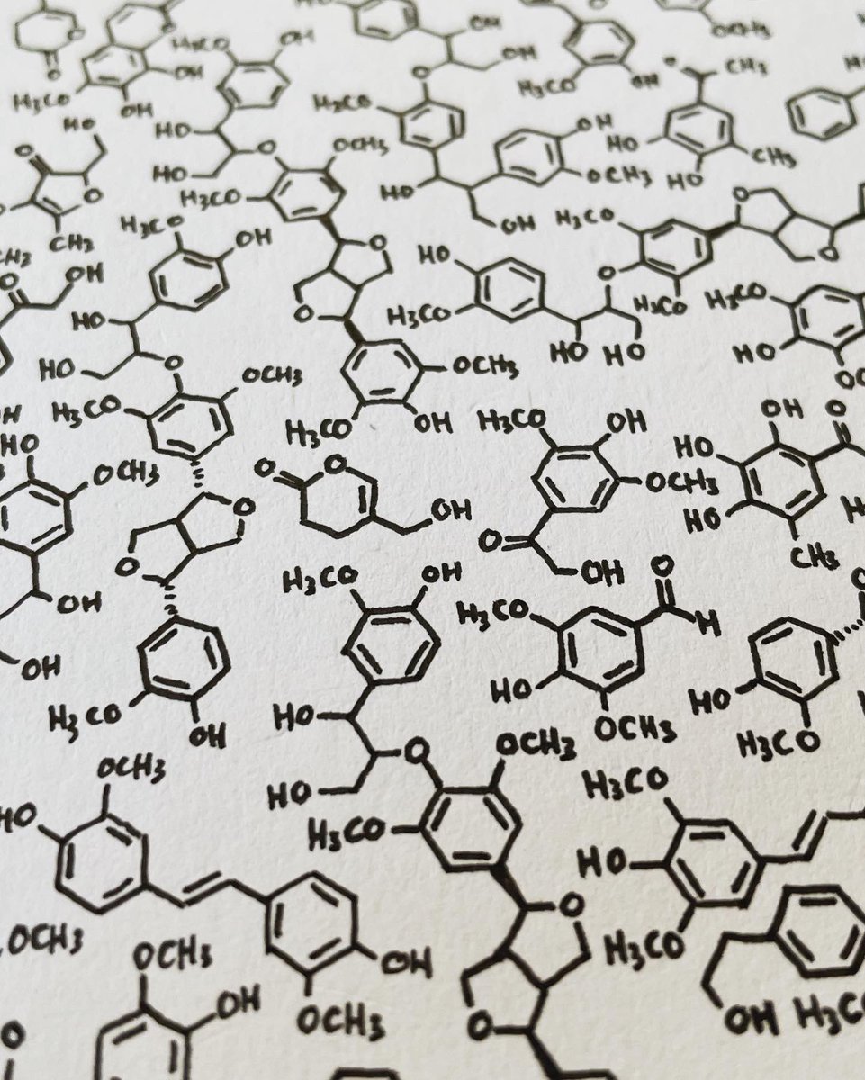 Phil Knutson, PhD ⌬ tweet media