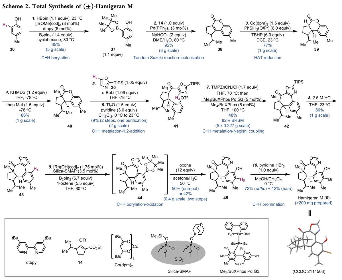Total Synthesis (@totalsynthesis) on Twitter photo 11-Step and Scalable #TotalSynthesis of Hamigeran M Enabled by Five C–H Functionalizations by Baiyang Jiang and <a href="/MingjiDai/">Mingji Dai</a> at <a href="/PurdueChemistry/">Purdue Chemistry</a> in <a href="/J_A_C_S/">J. Am. Chem. Soc.</a> pubs.acs.org/doi/10.1021/ja… 11-Step and Scalable #TotalSynthesis of Hamigeran M Enabled by Five C–H Functionalizations by Baiyang Jiang and <a href="/MingjiDai/">Mingji Dai</a> at <a href="/PurdueChemistry/">Purdue Chemistry</a> in <a href="/J_A_C_S/">J. Am. Chem. Soc.</a> pubs.acs.org/doi/10.1021/ja…