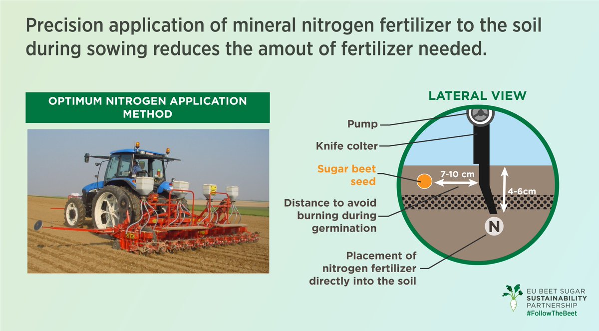 Mineral fertilizers are a major source of #GHG emission in #sugar #beet cultivation. A🗝️factor in reducing them is improved nitrogen use efficiency.
Placing a small amount close to the row crops helps reduce the amount of fertilizer needed.
➡️bit.ly/3knckKR #EUSoil