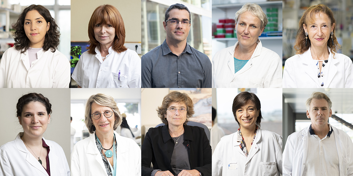 FRM_officiel's tweet photo. La FRM remettra demain soir les 10 derniers #PrixFRM 2021 à 10 chercheurs distingués pour leurs travaux innovants et prometteurs.
Découvrez sans attendre les noms des 10 lauréats récompensés : https://t.co/zI0xPskwk7 https://t.co/FtX9XEYzXu