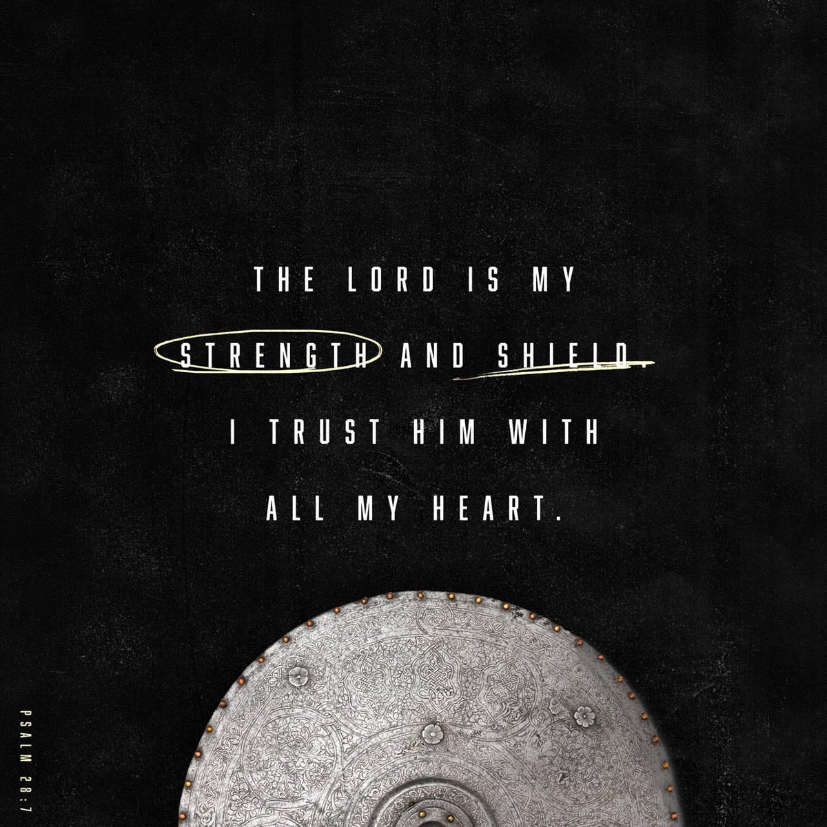 ByToyTreasures's tweet photo. “The Lord is my strength and my shield; my heart trusts in him, and he helps me. My heart leaps for joy, and with my song I praise him.”
Psalms 28:7 NIV
https://t.co/sSdJqKfSPn https://t.co/sSdJqKfSPn https://t.co/Zak76zIT7i