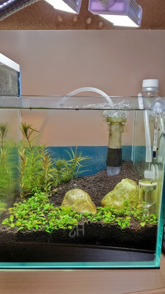 水槽崩壊 Twitter Search Twitter 水槽崩壊 Twitter Search Twitter