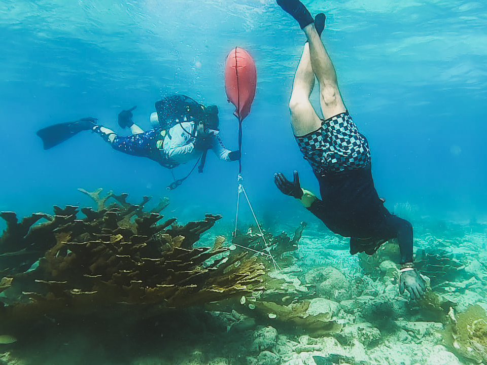SFB_Magazine's tweet photo. After #HurricaneDelta hit #Mexico's #MesoamericanReef in October 2020, a brigade of #volunteers spent the next 3 months repairing the #reef, stabilising 2,152 uprooted #coral colonies and re-attached 13,570 coral fragments.

https://t.co/u2kzfJVcWc https://t.co/V0EypAr1zE