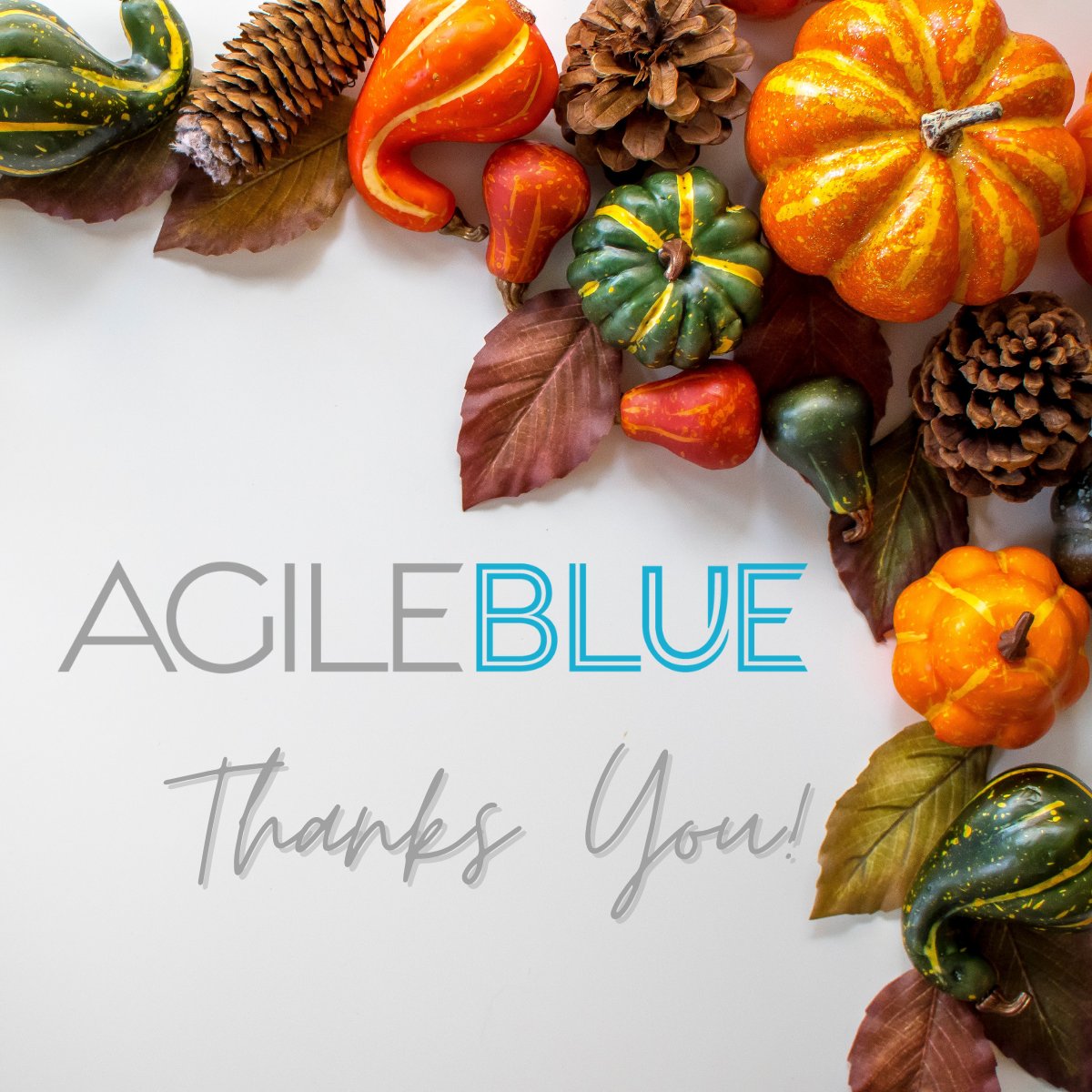 AgileBlue's tweet photo. We want to thank our clients and partners for choosing AgileBlue to help achieve your goals and overcome your challenges. We do not take for granted the trust you place in us and we will continue to work tirelessly for you. #HappyThanksgiving from the AB team! https://t.co/mgtEpiBsHT