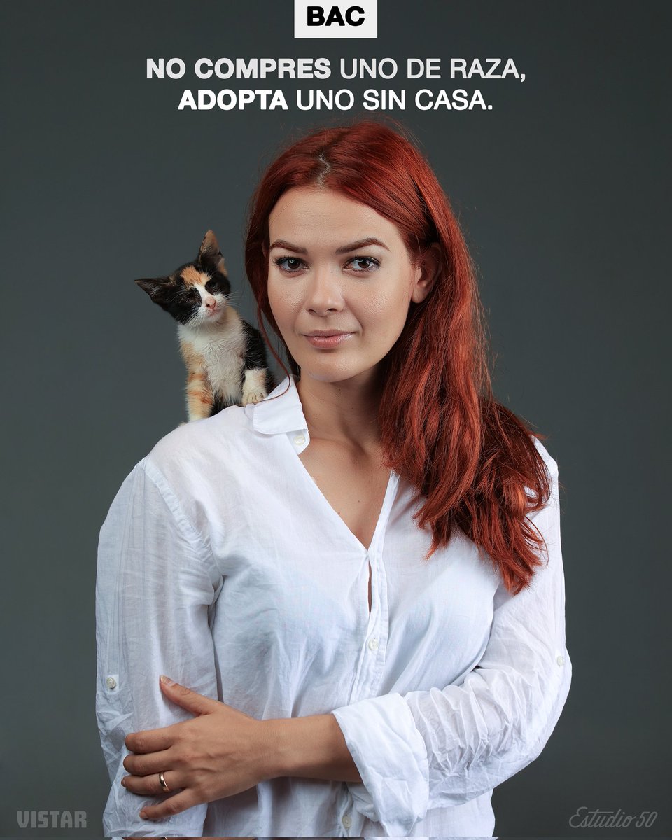 bac_org's tweet photo. ❌NO COMPRES UN PERRO DE RAZA, ADOPTA UNO SIN CASA❌

Nunca antes se llevó tan lejos este mensaje en Cuba y el objetivo de la campaña se ha logrado: muchos animalitos adoptados por maravillosas familias y personas sensibilizadas q han conocido d nuestra labor y se han sumado🥰 https://t.co/fZuvPz6ctc