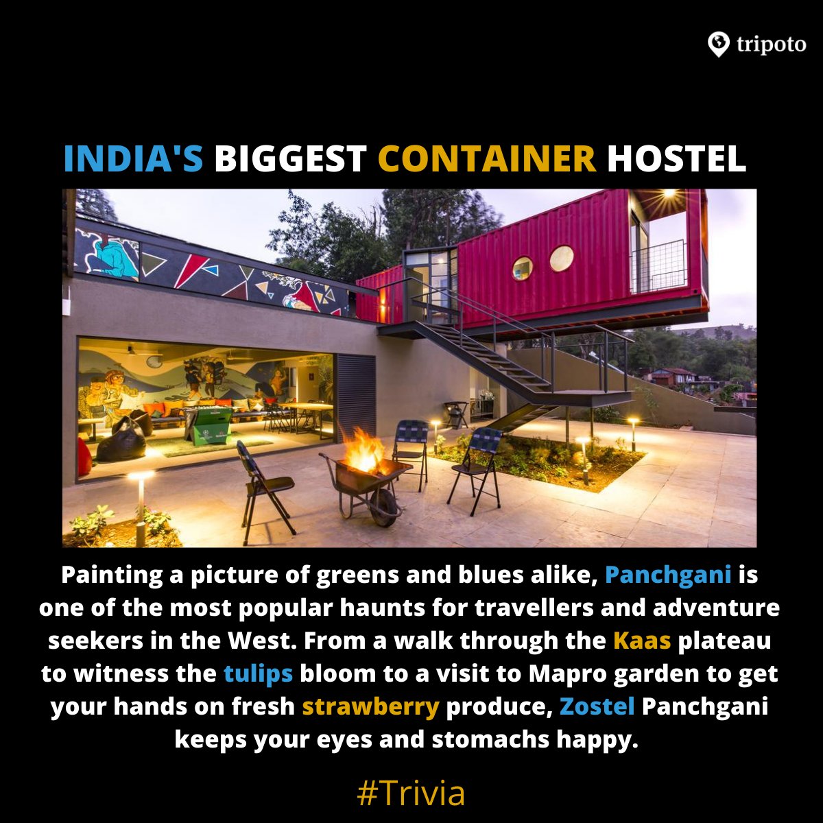 tripoto's tweet photo. Would you like to stay in this #hostle?
#Backpacking https://t.co/mFpXCQMnTZ