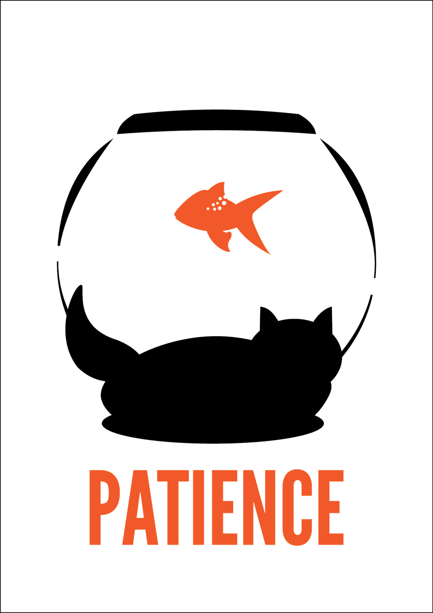 Stephen Shillito tweet media