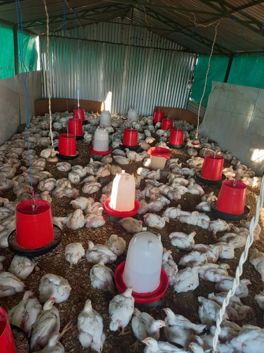 Mila Fresh Produce tweet media