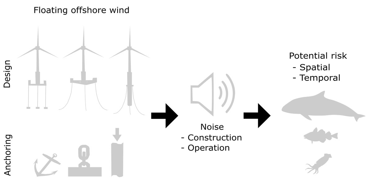 Talking about underwater noise risk impacts of floating offshore wind turbines at the Underwater Sound Forum projects.noc.ac.uk/usf/ this afternoon