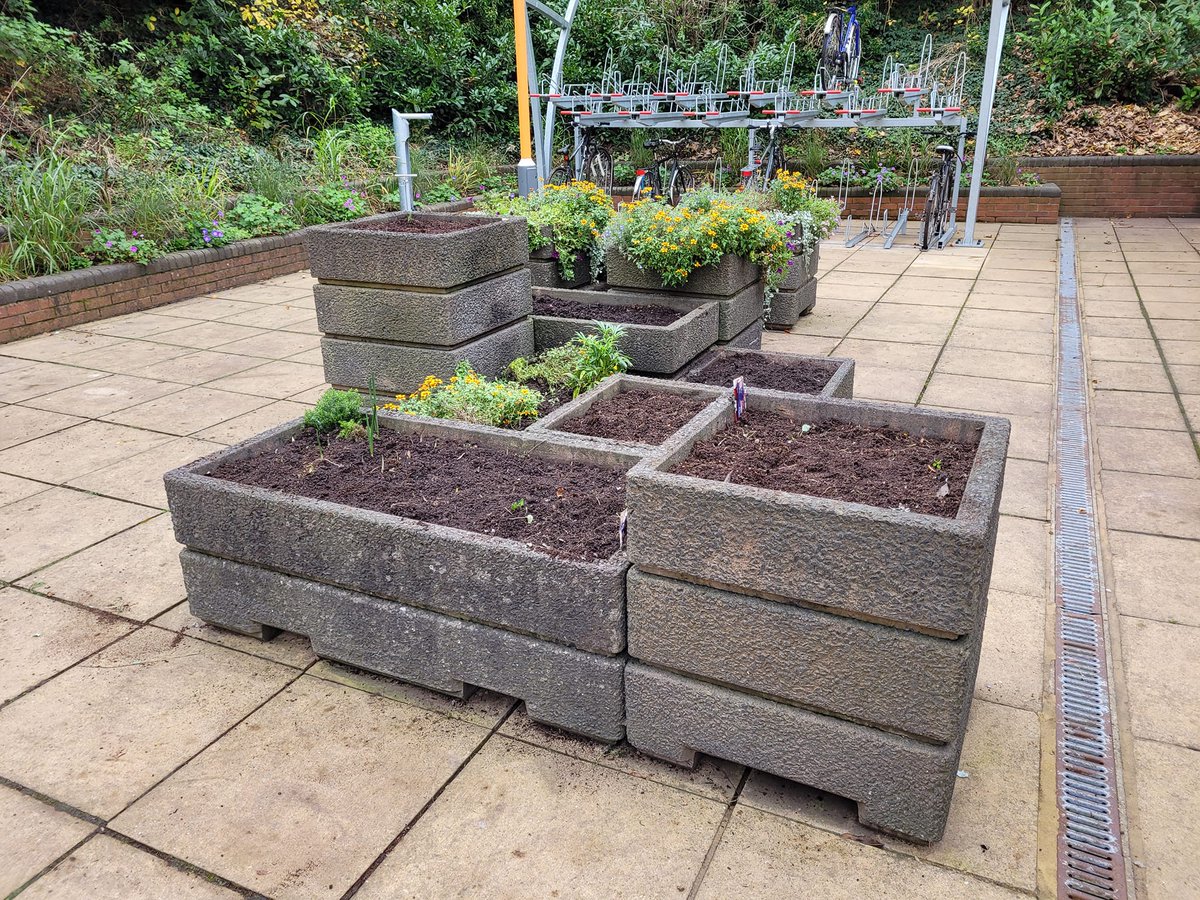 FODSRS1's tweet photo. Well we've cleared out and planted more spring bulbs in our planters by the booking hall, some are really coming up early... https://t.co/5HvYsMmSbi