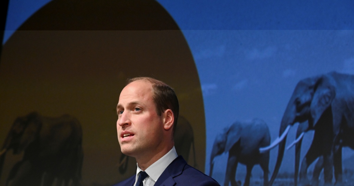 Prince William told to “mind his own business” by critics after suggesting population growth is endangering wildlife in Africa aje.io/wbusv4
