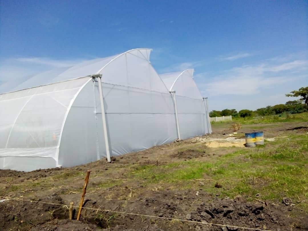 Climate Smart Agriculture through Greenhouse farming technology for effective water use &amp; Management for al yr round vegetable production. Assured income and better livelihood <a href="/FarmIT6/">Farm IT</a> <a href="/ardyis_cta/">Youth in Agribusiness</a> <a href="/mkulima254/">Small Farming Hub ™</a> <a href="/AGRICSMART/">SMART AGRICULTURE</a> @AAP_World <a href="/AfricanFarming/">African Farming</a> <a href="/F4YFKenya/">Young Farmers</a> <a href="/yofchan/">Young Farmers Champions Network - YOFCHAN</a> <a href="/FAOAfrica/">FAO in Africa</a>