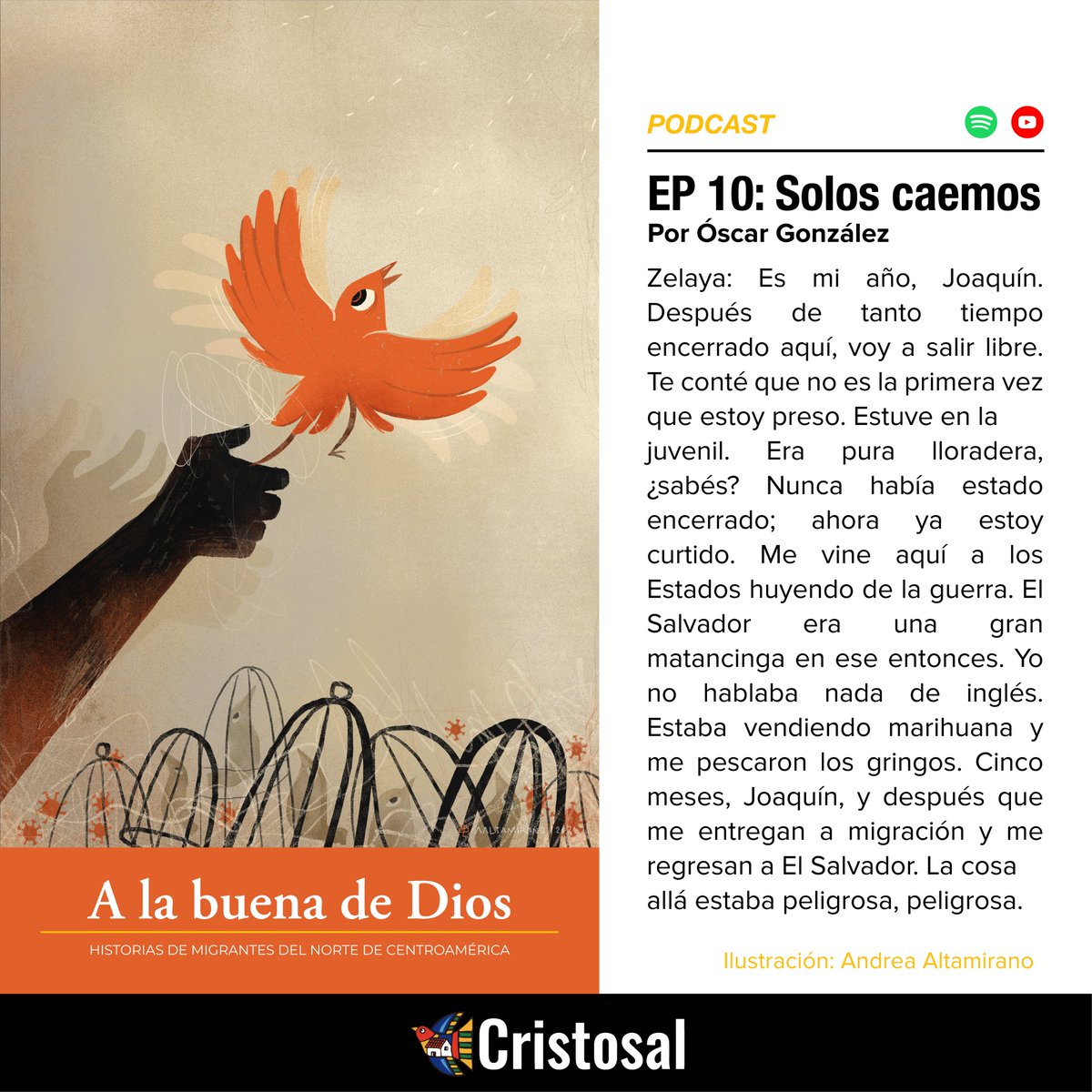 Cristosal's tweet photo. 🔉#ALaBuenadeDios| Si aún no han escuchado nuestro Podcast de historias de migrantes en el norte de Centroamérica, los invitamos a que escuchen el episodio número 10 👇🎧

📶 Spotify: https://t.co/neBgsnSW4a 
▶ YouTube: https://t.co/LPIibnYDFw https://t.co/asI0lTwmpZ