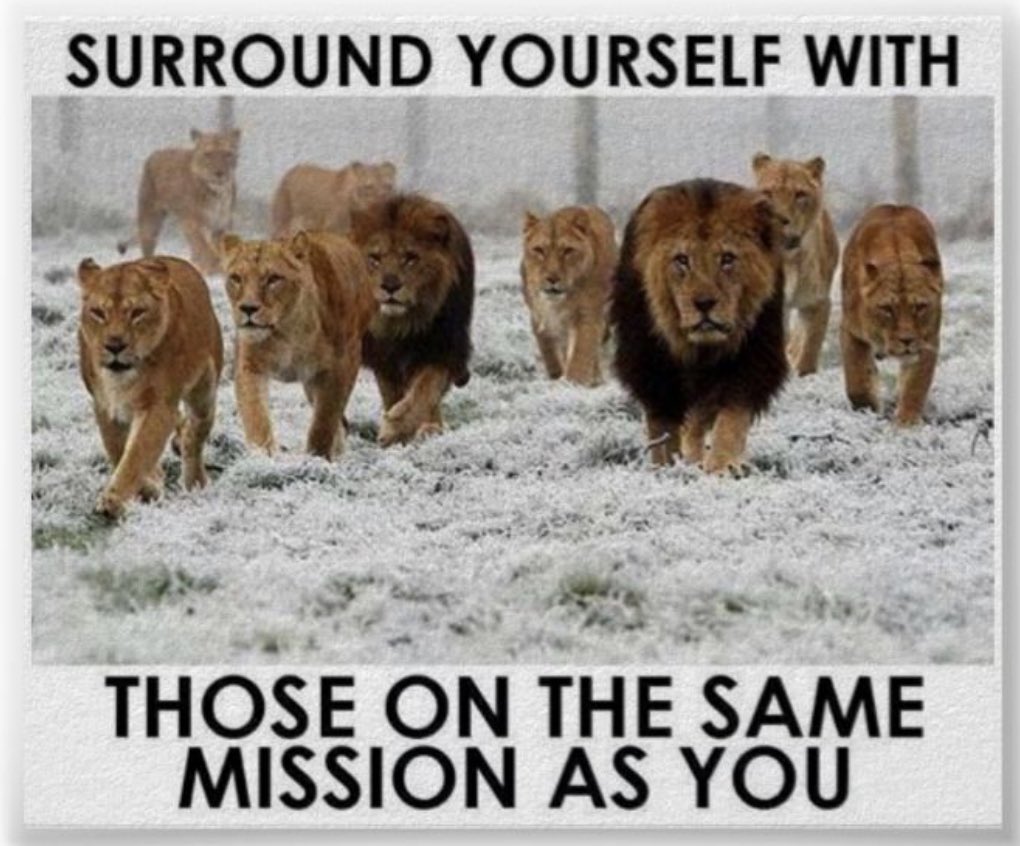robdthomas's tweet photo. “Anything that we want to achieve takes clarity of mission up front and then focus, structure, and persistence in execution.” -The Leaders Code https://t.co/rnWWNMTdbL