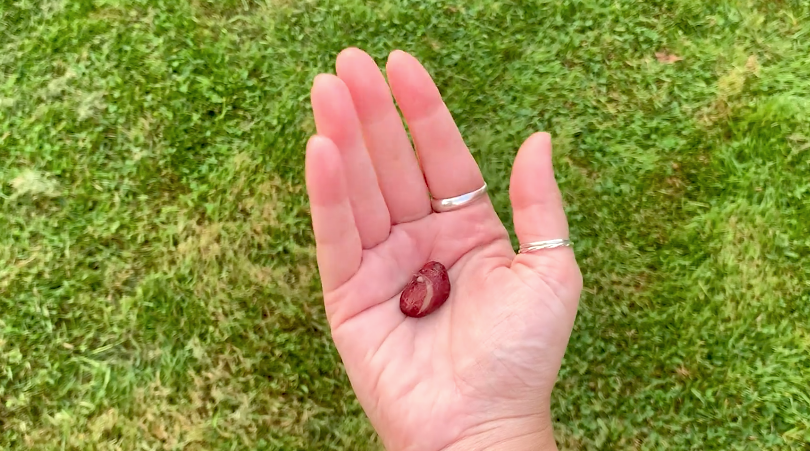 Everything good starts with good food. That’s what we think – and so do the <a href="/UN/">United Nations</a>. Ahead of COP26 and their first ever #Food Summit, we teamed up with the <a href="/UN/">United Nations</a> to share that message. And we’re loving the result. Take a look… 
youtu.be/XP_G9XWFOBo

#foodsystem #food #GoodFood4All