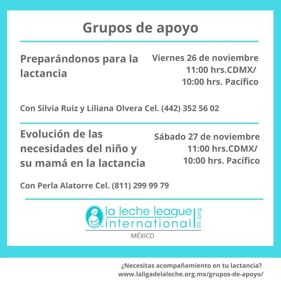 LLLMichoacanMex's tweet photo. Te esperamos en las próximas reuniones de los grupos de apoyo virtuales https://t.co/W0BHA4RCVJ