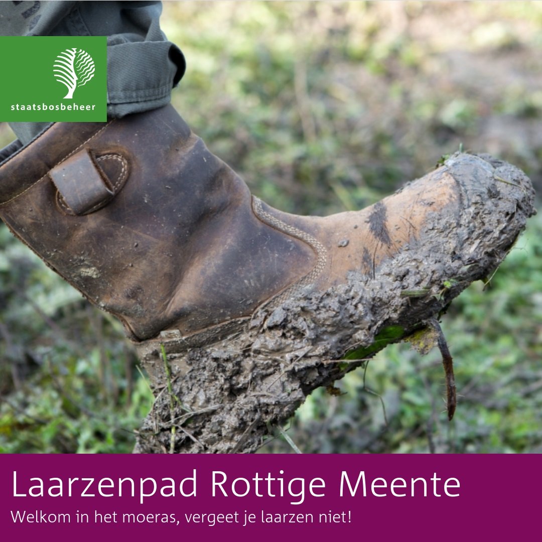 Ga je #wandelen in de Rottige Meente? Gedeelten van de aangegeven routes zijn momenteel erg modderig. Trek je laarzen aan! #modder #moeras #herfst <a href="/staatsbosbeheer/">Staatsbosbeheer</a> <a href="/ManonWesel/">Boswachter Manon</a>