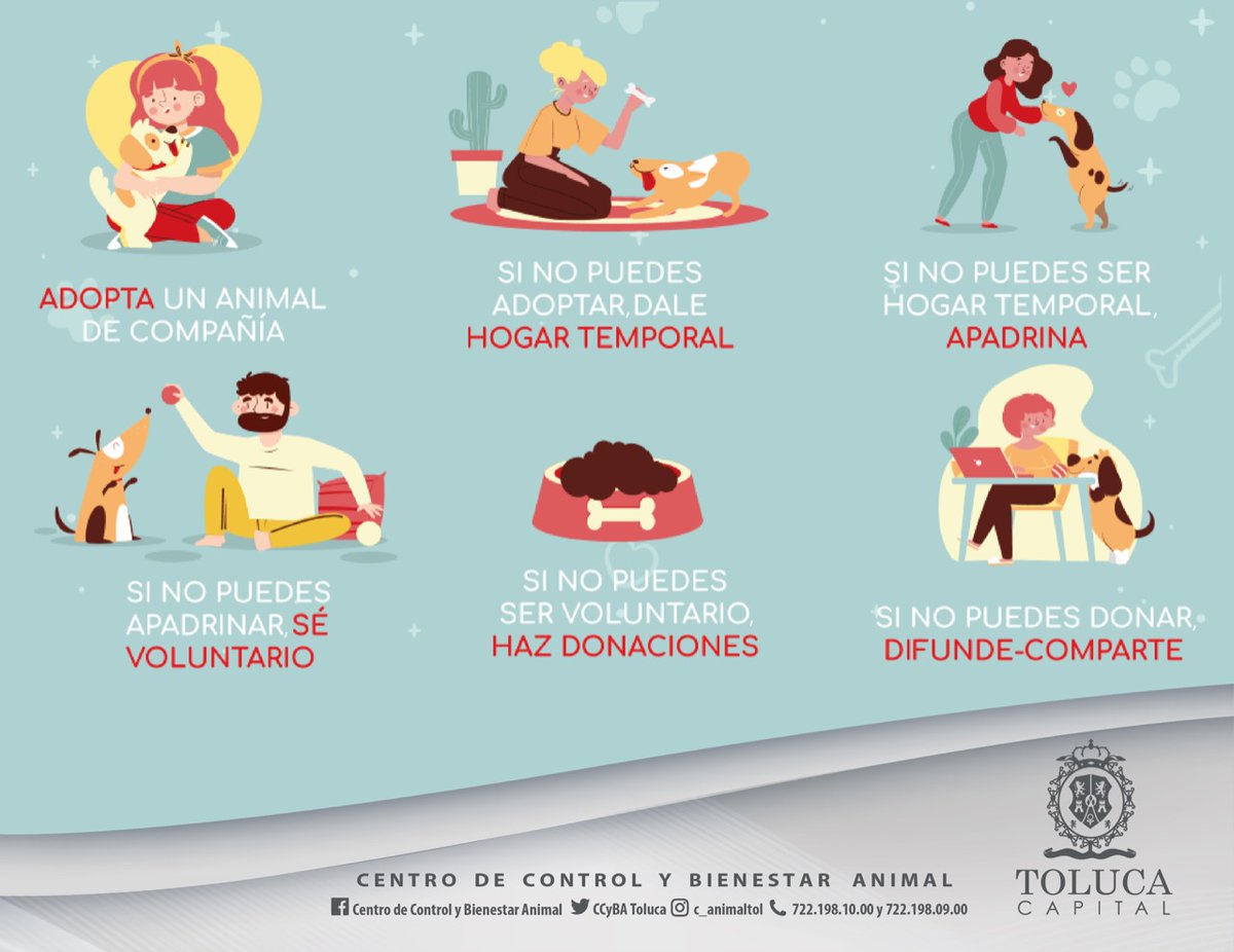 Vamosxunacasa's tweet photo. Sé parte de la solución, es el momento de ponerte la camiseta y ayudar a los animales en situación de calle 🐶🐱. Hay muchas maneras de ayudar, lo que no se vale es ser indiferente #MejoresCompañeros #NoAlAbandono #AyudaConUnRT https://t.co/E1QR8wuU1L