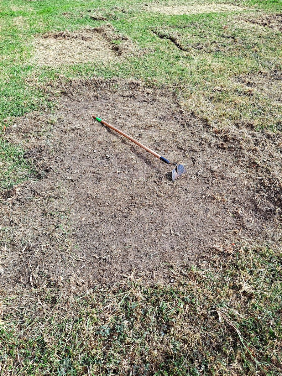 Grow Local South Texas tweet media