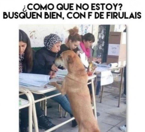 C5memeNews's tweet photo. Mirenme,  soy hija de perra, necesito votar a Vidal https://t.co/6vY5TcmPcF