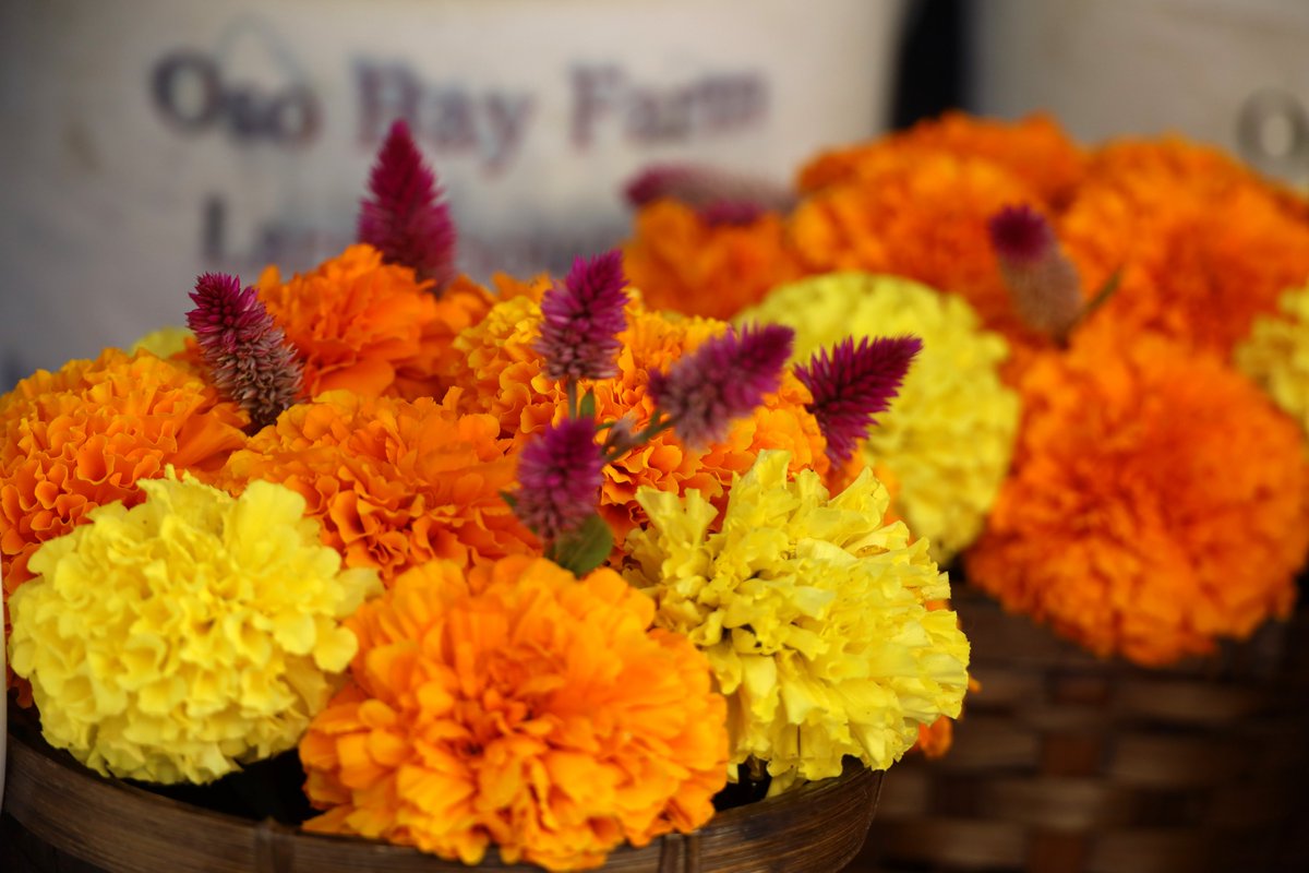 Grow Local Farmers' Market tweet media