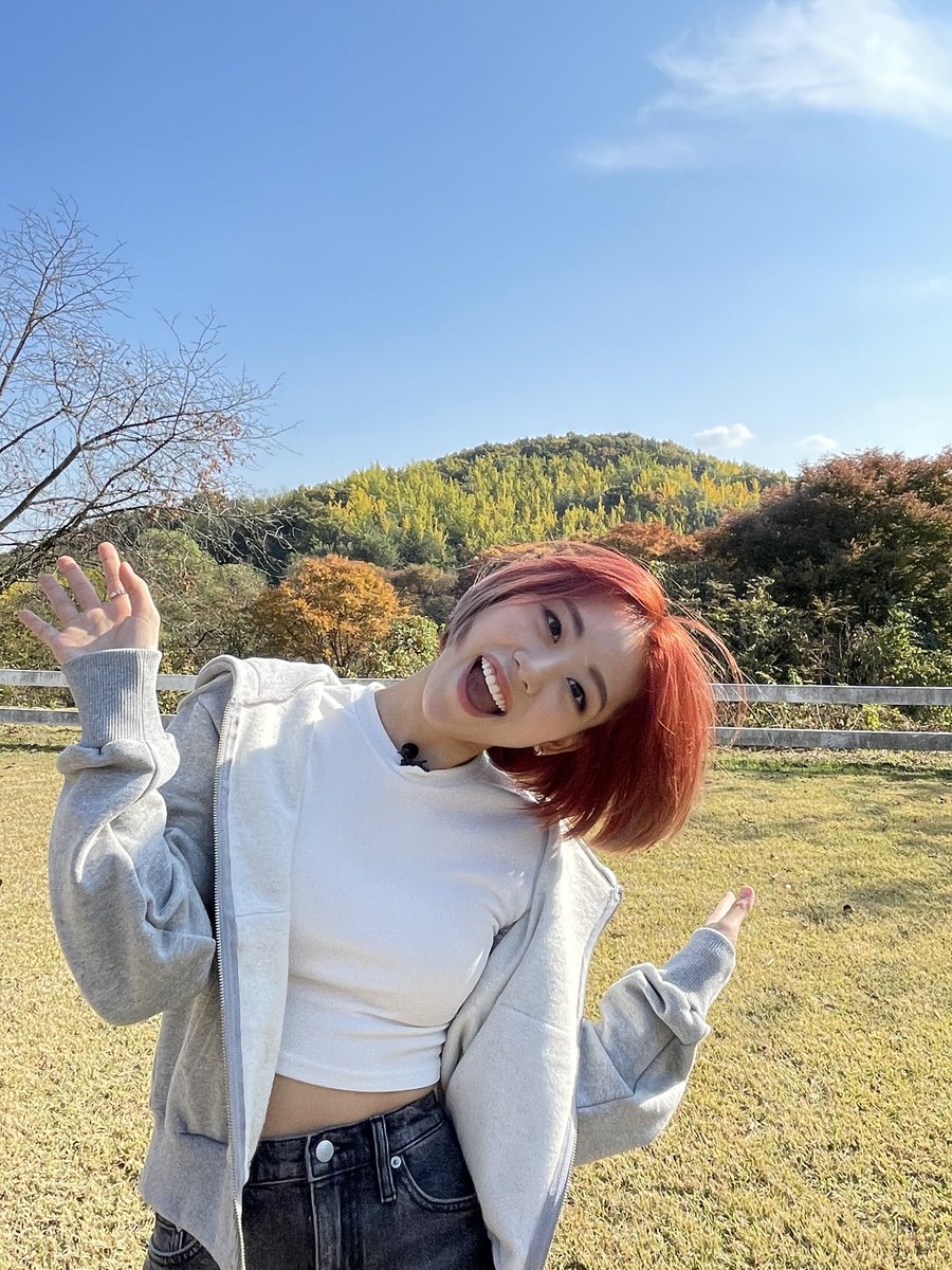 WekiMeki's tweet photo. 깜찍한 오랑이 빵댕이🍑
ㅋㅋㅋㅋㅋㅋㅋㅋㅋㅋㅋㅋㅋㅋ

#🌈 https://t.co/szhTo5SOl6