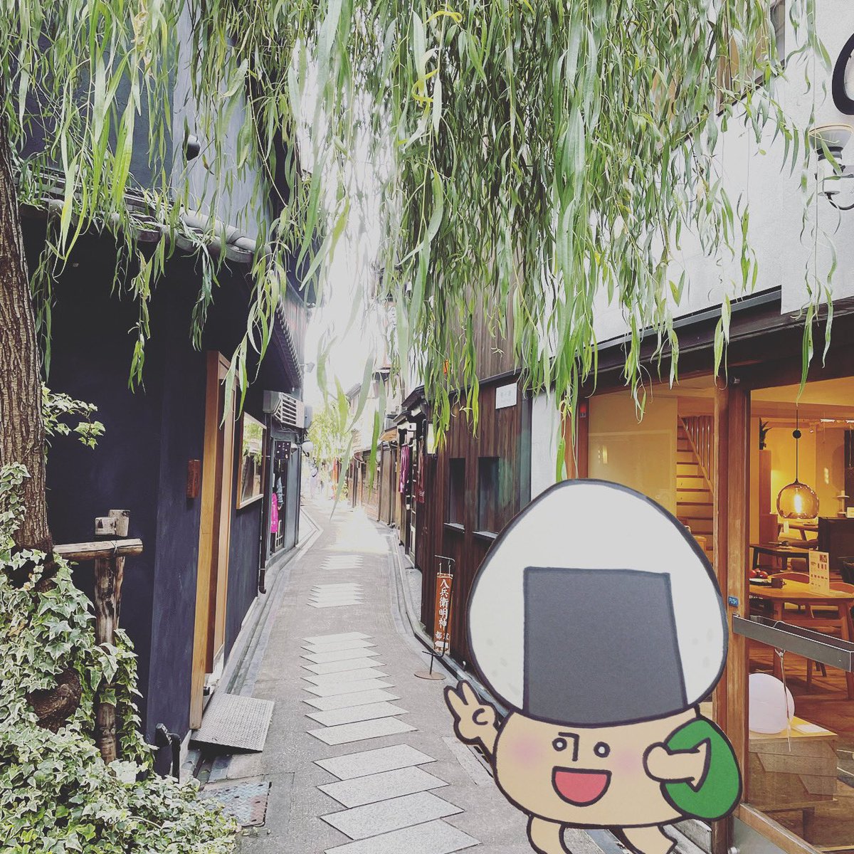 おむすびきのこさんは京都が大好き！ 新京極商店街をちょっと横にそれると、いい感じの小路に出会ったよ☺️